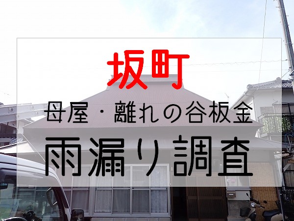 広島県坂町　増築した谷板金から雨漏り。実家を離れた娘さんからのご相談